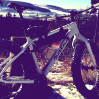 Salsa Beargrease Carbon