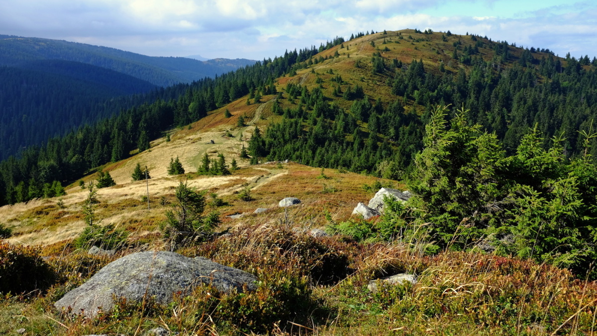 Lúčanská hřebenovka