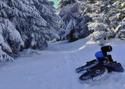 orlické hory fatbike