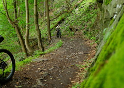 bikepacking harz