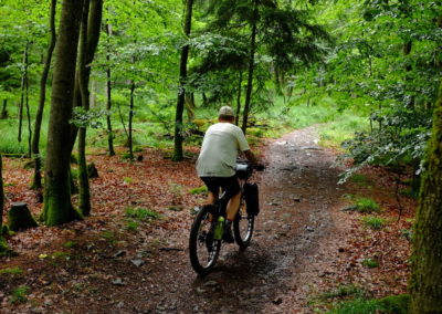 bikepacking harz