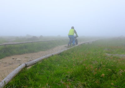 bikepacking harz