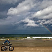 Surly rowers on the Baltic coast