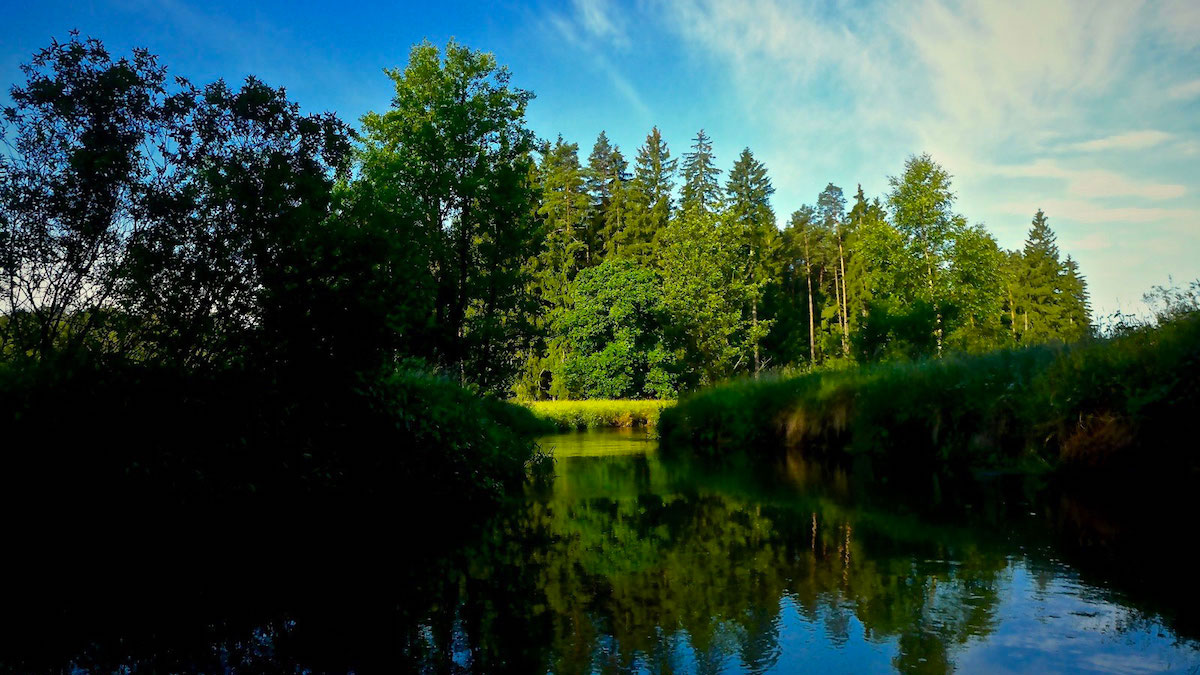 Bratři na tripu