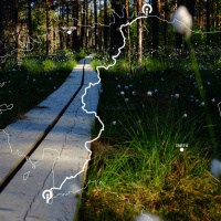 Estonsko: Oandu-Ikla trail