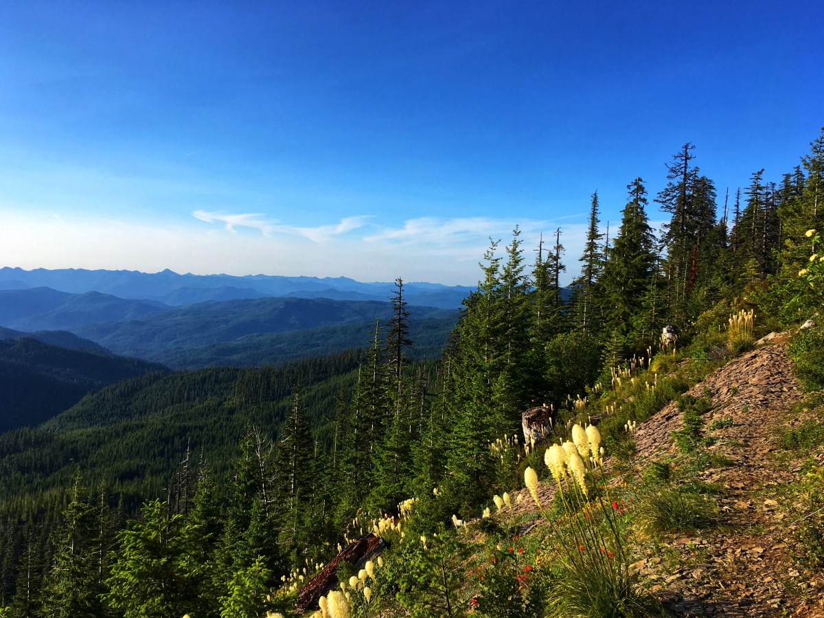 Timber Ridge Oregon Oregon Timber Trail - rozhovor | Bikepacking.cz