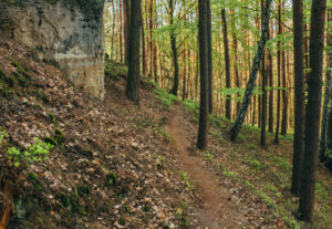 singletrail kokostezky
