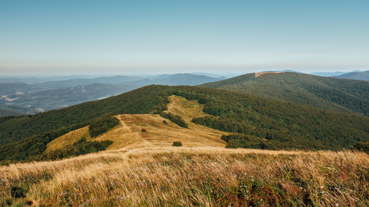 Ridge route through the Poloniny mountains