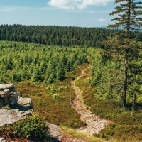 The Ridge Route of the Rychleby Mountains