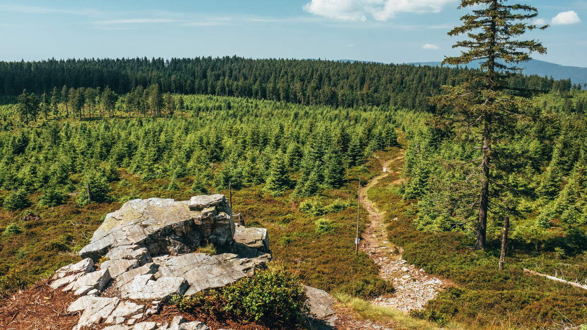 The Ridge Route of the Rychleby Mountains