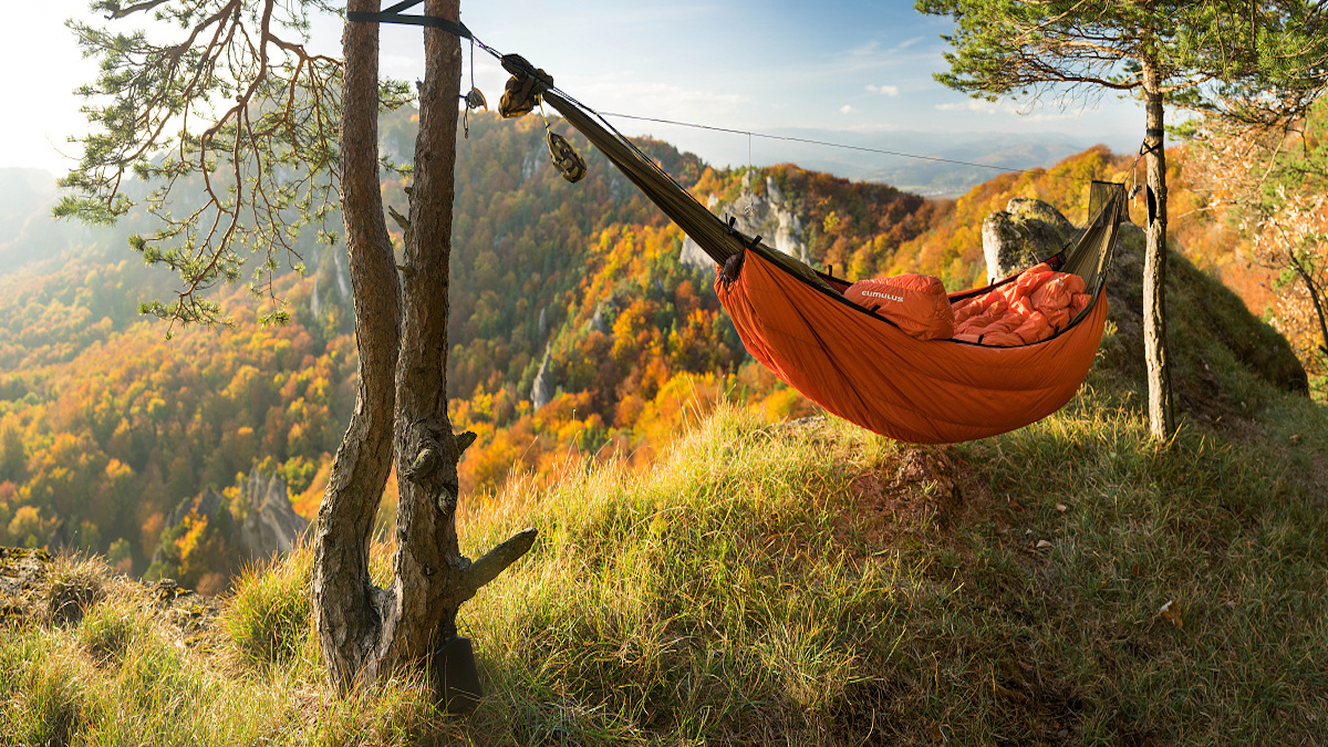 Warming the hammock or what you learn in youth you find in old age