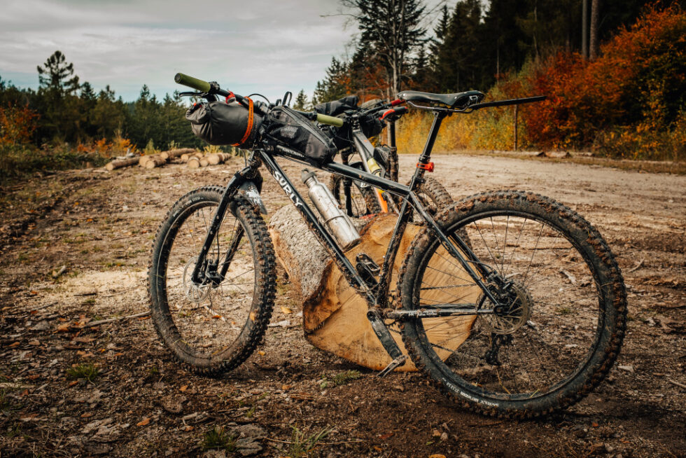 surly karate monkey 2015
