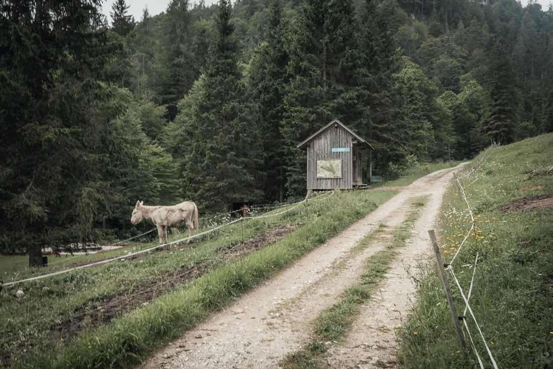 NP Kalkalpen a Gesäuse – Horním Rakouskem s hamakou
